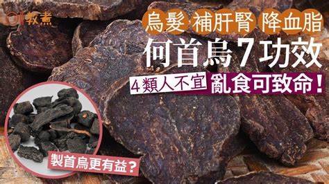 制首烏功效|何首烏功效｜黑髮補肝腎7好處製首烏更有益？4類人不 